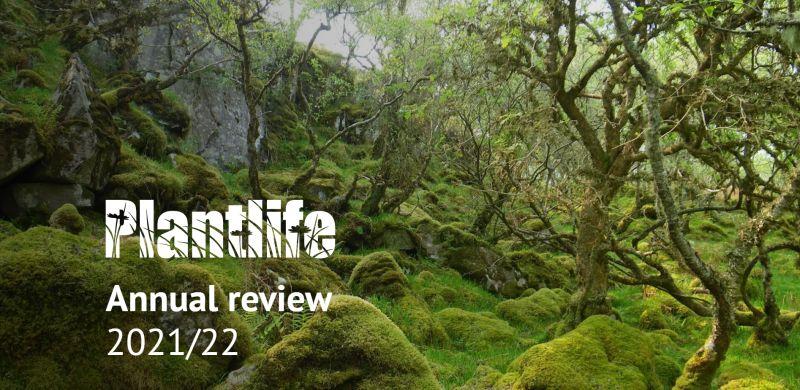 Michael Woulfe, photo 2