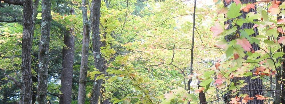 Scott Bagley, photo 2