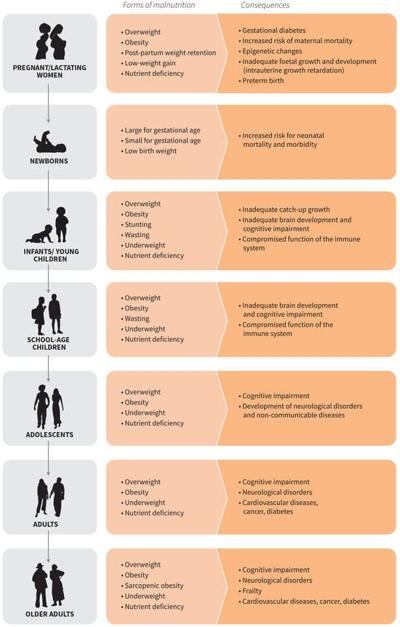 Fanette Lopez, photo 2