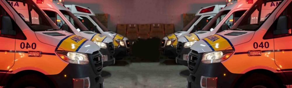 Daniel Orca, photo 2