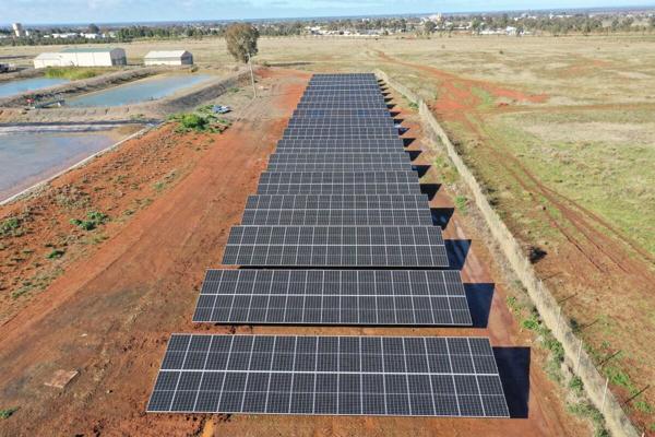 Angus Quirk, photo 1