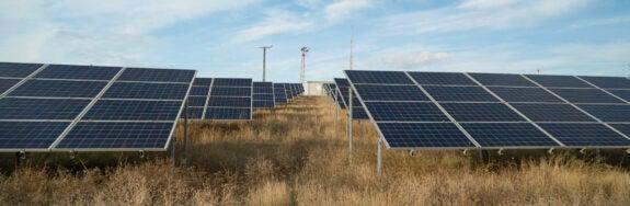 Maria Castillo, photo 2