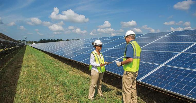 Michael Whitfield, photo 1