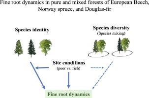 Douglas Pecot, photo 1