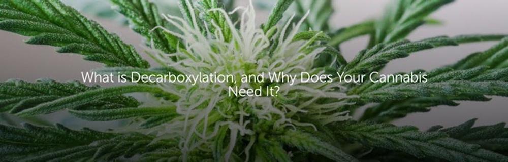 Philip Bjorge, photo 2