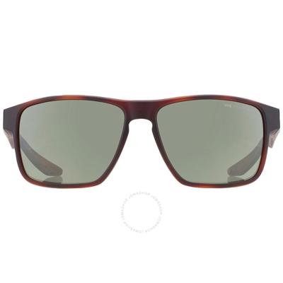 Daniel Earnshaw, photo 2