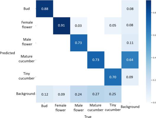 Daisuke Yasutake, photo 2