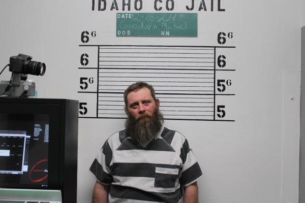 Michael Goodwin, photo 2