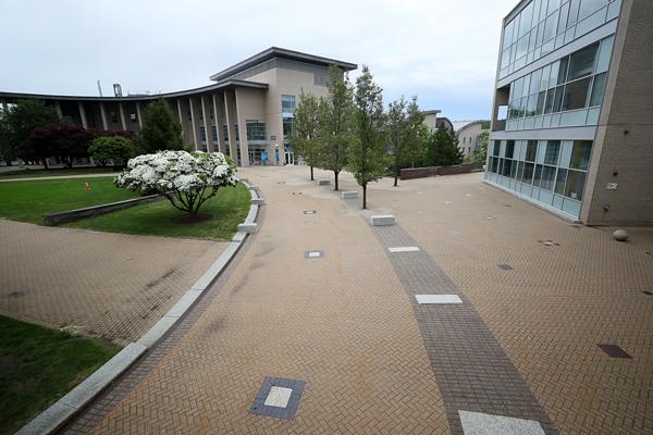 Suzanne Alcott, photo 2