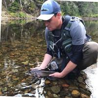 Stephen Kidder, photo 2