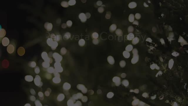 Julia Barber, photo 2