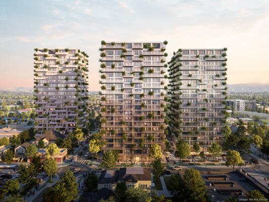 Andrew Domont, photo 2