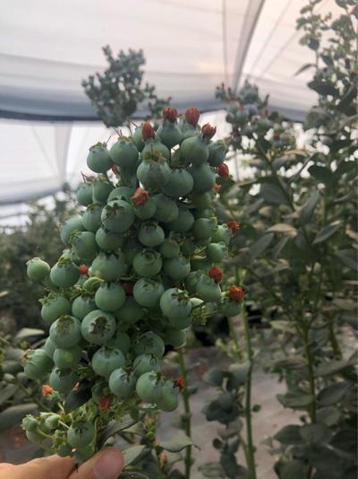 Alejandro Valrod, photo 1