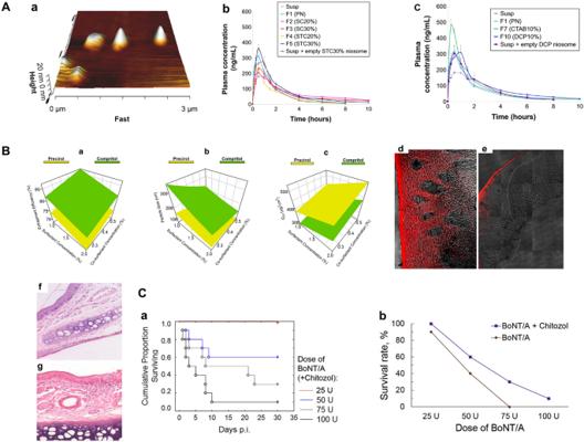 Salvador Jalife, photo 2