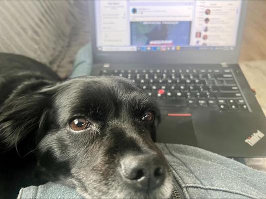 Peter Giaimo, photo 1