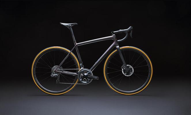 Francisco Trejo, photo 2