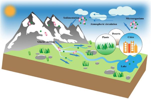 Ravi Vijaykumar, photo 1