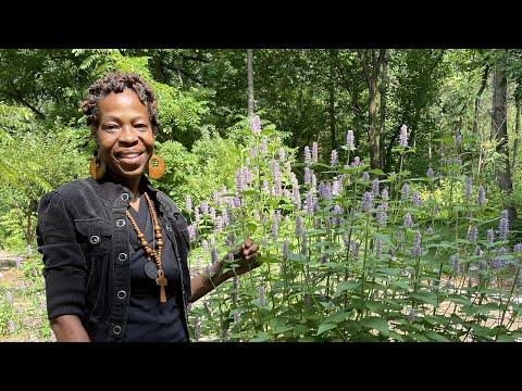 Celeste Lomax, photo 1