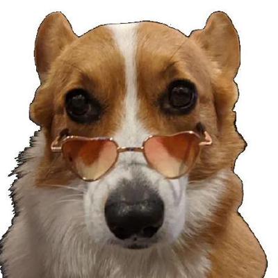 Allison Weins, photo 1