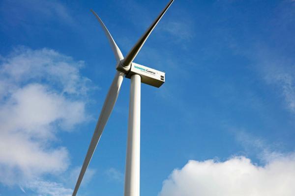 Tensing Naidu, photo 2