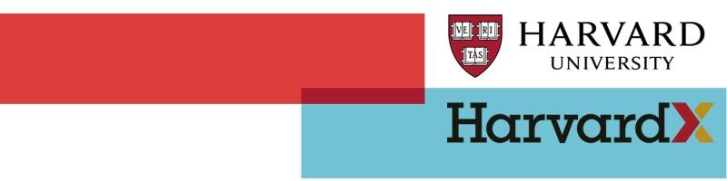 Narvinder Singh, photo 2