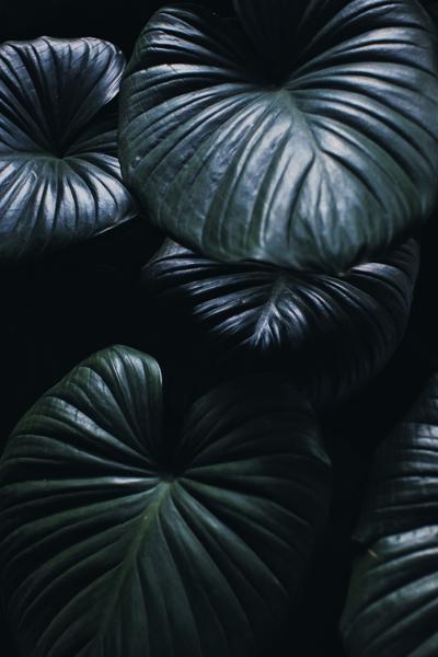 Ashley Arenson, photo 2