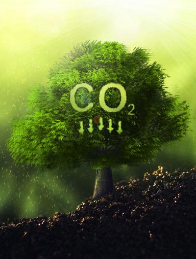 Quentin Depigny, photo 1