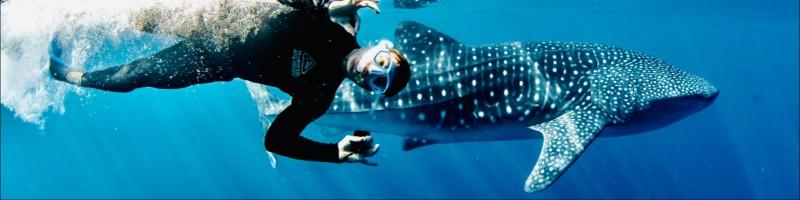 Matt Trustrum, photo 1