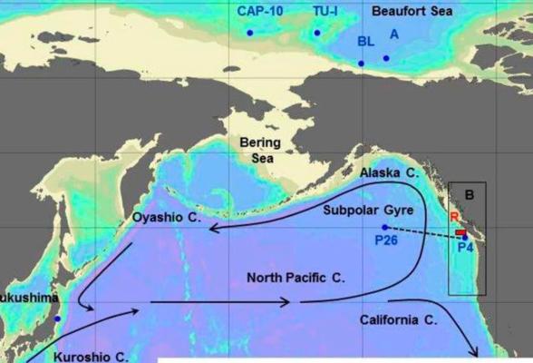 Vlad Kaganovsky, photo 1