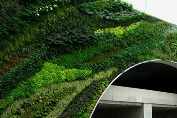 Patrick Blanc, photo 2