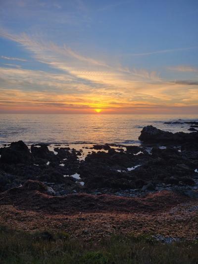 Dayna Crouch, photo 1