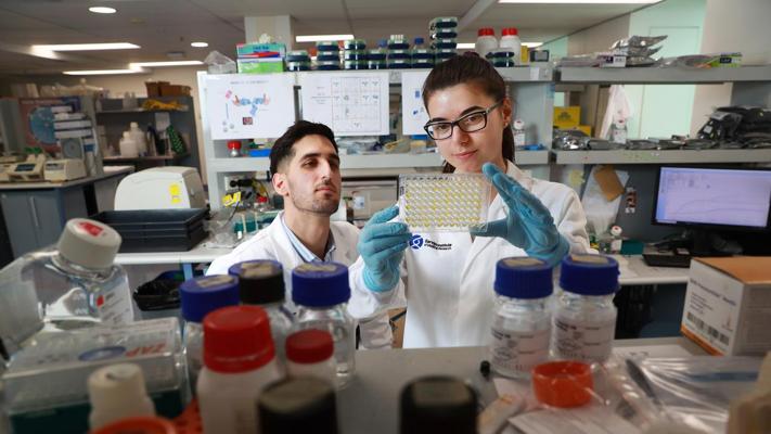 Ohan Mazigi, photo 2