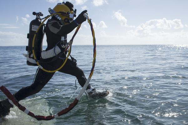 Carlos Echalecu, photo 2