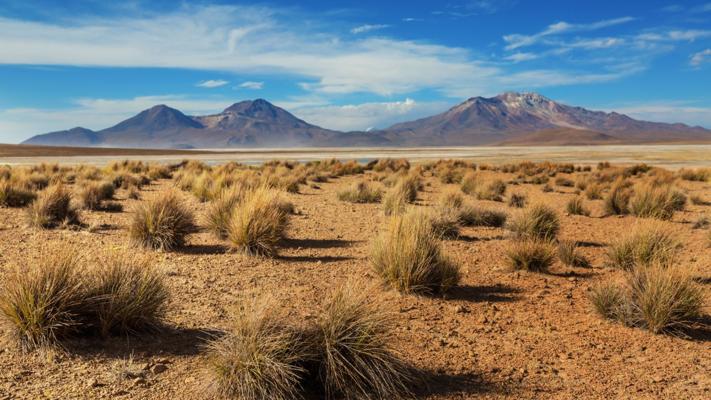 David Chadderton, photo 1