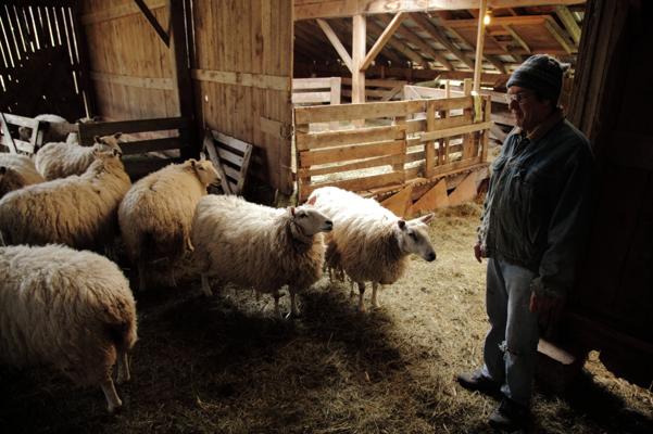 Don Mitchell, photo 1