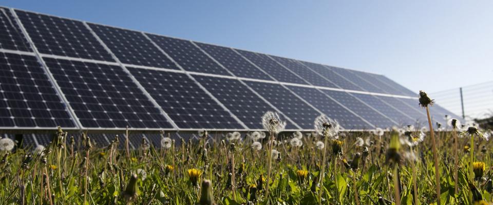 Natalia Paraskevopoulou, photo 1