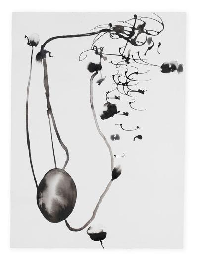 Marcelo Cscs, photo 2