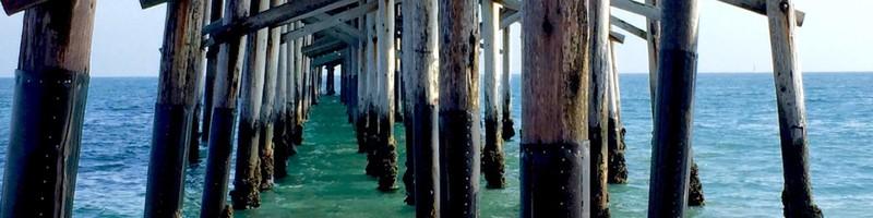 Vivian Wang, photo 2