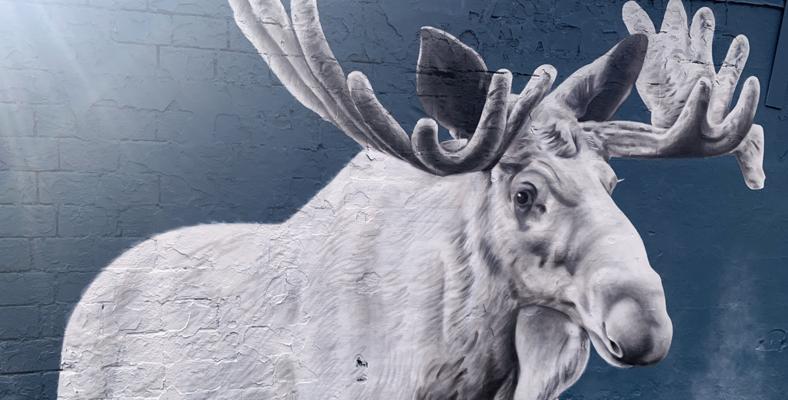 Jan Viljanen, photo 2