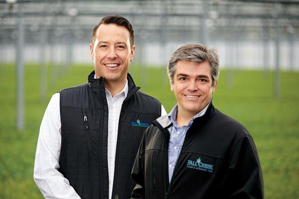 Lawson Tree, photo 1