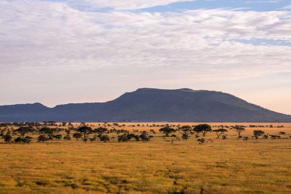 Ariel Mjingo, photo 1