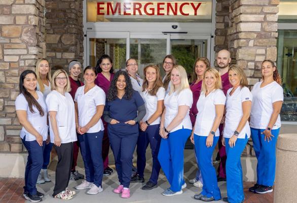 Elizabeth Mallory, photo 1