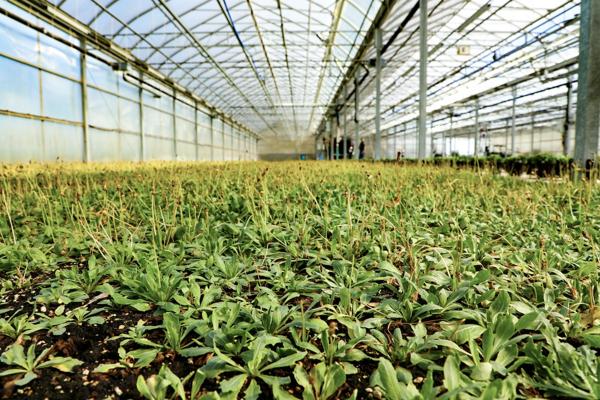 Sander 克桑德, photo 2