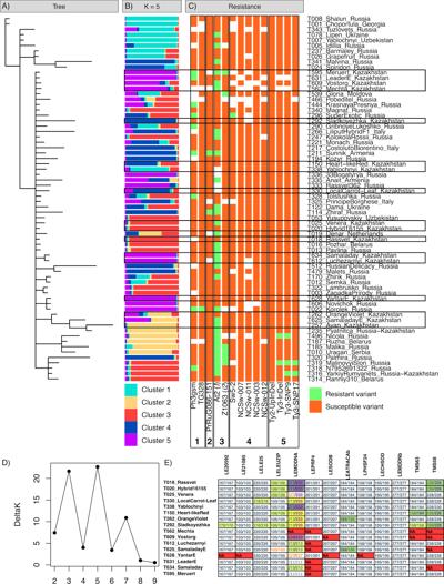 Володимир Василенко, photo 2