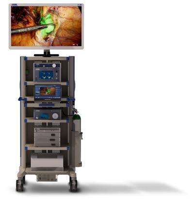 Jason Corley, photo 1