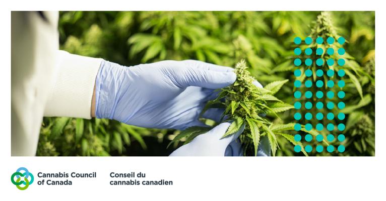 Anthony Giorgi, photo 2