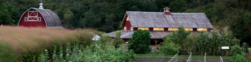 Cindy Goodner, photo 2