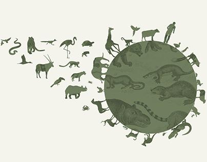 Debora Klippel, photo 2