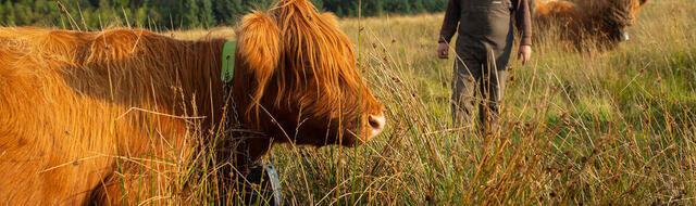 Schuyler Dalton, photo 1