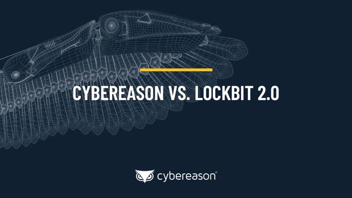 Ori Libhaber, photo 1